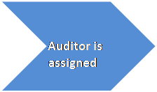 Chevron: Auditor is assigned